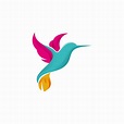 abstract colorful hummingbird colibri bird logo line outline monoline ...