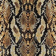 Snake skin pattern texture lines design Stock Illustration | Adobe Stock