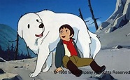 經典卡通《靈犬雪麗》真人版 勾台灣人童年回憶 - 自由娛樂