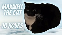 Maxwell the Cat Theme 10 Hours - YouTube