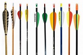 Types of Arrows - What's The Difference? - ArcheryBull