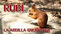 RUBI, LA ARDILLA ENCANTADA, vídeo cuento infantil - YouTube
