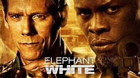 Elephant White (2011) – Filmer – Film . nu