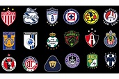 Liga MX 2023: Todos los campeones de la Liga MX: quién fue el último ...