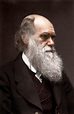 Charles Darwin | Colorized historical photos, Colorized photos, Charles ...