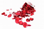 Red Rose Petals - Fields of Colour Online Flower Shop