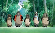 Ciclo Ghibli: "Pom Poko: La Guerra de los Mapaches” : Cinescopia
