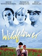 Wildflower (1991)