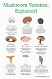 Mushrooms: A Culinary Treasure | Whole Foods Market | Stuffed mushrooms ...