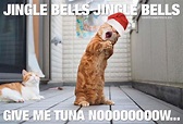 15 Christmas Song Memes To Make Your Holidays Extra Fun