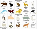 Animals | Animal symbolism, Animal meanings, Animal articles