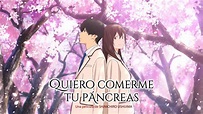 Pelicula en AUDIO LATINO Quiero Comerme tu Páncreas