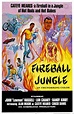 13: FIREBALL JUNGLE - Joseph P. Mawra (1968)