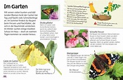 Naturführer für Kinder. Schmetterlinge | DK Verlag