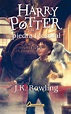 Harry Potter y la piedra filosofal de J. K. Rowling: El inicio de la saga