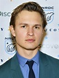 Ansel Elgort - AdoroCinema