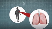 肺炎疫情：抽煙可預防新冠病毒？盤點令人驚訝的假新聞｜東森新聞