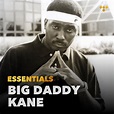 Big Daddy Kane Essentials on TIDAL