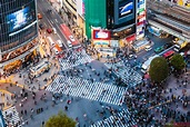 - Famous Shibuya pedestrian crossing, Tokyo, Japan | Royalty Free Image