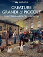 Creature grandi e piccole - Un veterinario di provincia - stagione 2 | Sky