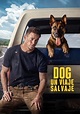 Dog Un Viaje Salvaje - película: Ver online en español