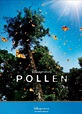 Jaquette/Covers Pollen (HIDDEN BEAUTY : A LOVE STORY THAT FEEDS THE ...