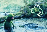 Kermit der Frosch | Film-Rezensionen.de