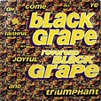 Black Grape – Reverend Black Grape (1995, Vinyl) - Discogs