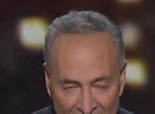 Fact Check: Chuck Schumer Or A Pedophile Was NOT Photographed Kissing A ...