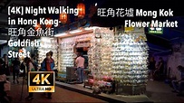 [4K] Night Walking in Hong Kong- 旺角金魚街Goldfish Street, 旺角花墟 Mong Kok ...