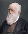 Charles Darwin photographed in 1877 by Lock & Whitfield : r/Colorization