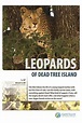 ‎Leopards of Dead Tree Island (2010) directed by Graeme Duane • Reviews ...