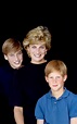 Princess Diana lives on in her sons - what Prince Harry and William ...