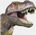 Descarga gratis | Dinosaurio, dinosaurio png | PNGEgg