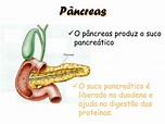 PPT - Sistema Digestório PowerPoint Presentation, free download - ID ...