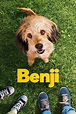 Benji (película 2018) - Tráiler. resumen, reparto y dónde ver. Dirigida ...