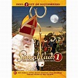 Sinterklaas 1 - Het geheim van het grote boek (DVD) | wehkamp
