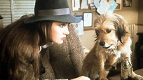Benji - O Cachorro Divino (1980) Assistir Online | TUDOHD Filmes