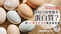 【蛋白質】每天要吃幾多這樣計！50種常吃食物蛋白質含量一文看清