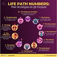 Understanding the Importance of Life Path Numbers – The Ultimate Minds