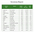 FREE 10+ Inventory Report Templates in Google Docs | MS Word | Pages | PDF