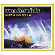 The Wondermints : Mind If We Make Love to You [us Import] CD (2002 ...