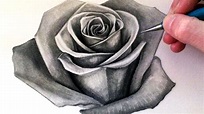How To Draw A Red Rose Step By Step : Draw petals further of the rose ...