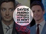 Davide Perino: intervista alla voce italiana di Newt Scamander