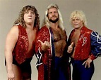 Fab Freebirds | The fabulous freebirds, Wrestling wwe, Wrestling superstars