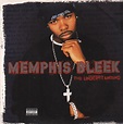 Download Memphis Bleek The Understanding 2000 - zeelasopa