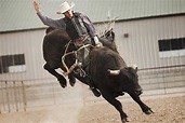 Bull Riding Wallpapers - Wallpaper Cave