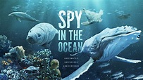 Spy in the Ocean (2023) - Titlovi.com