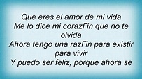 Ricky Martin - El Amor De Mi Vida Lyrics - YouTube