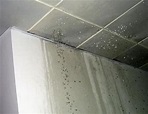 廁所天花板漏水應該怎麼處理？